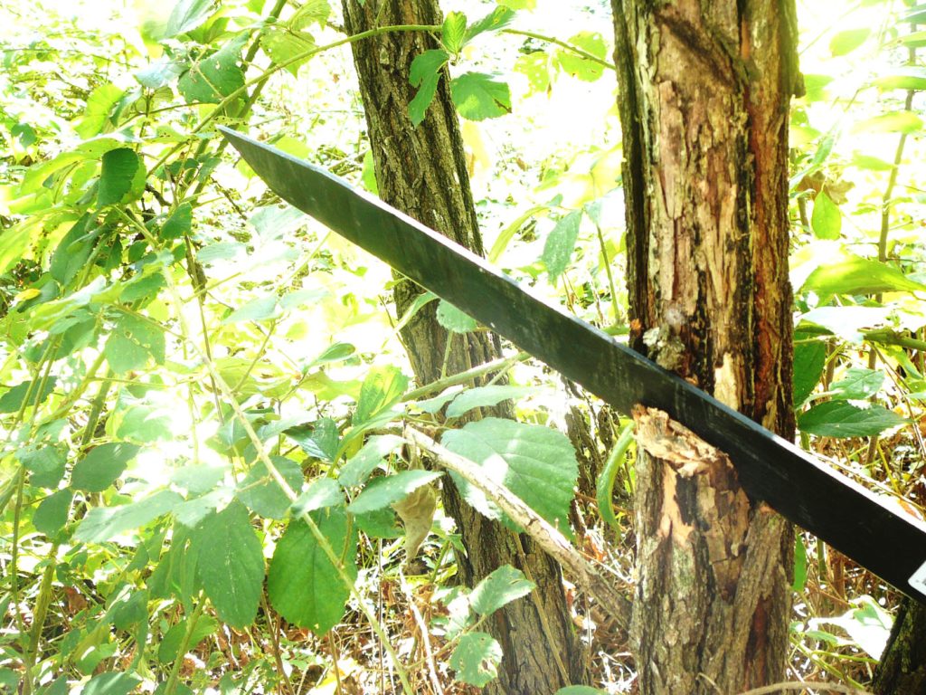 Katana mačeta i tragovi sečenja vidljivi na sečivu