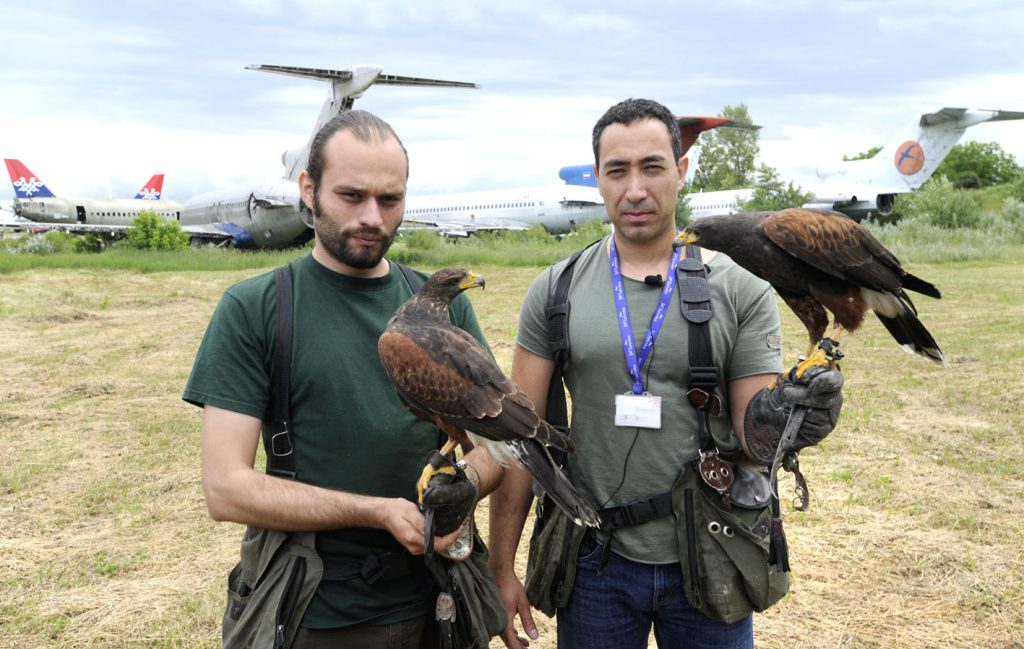 Hani Girgis (desno) i Radan Bulatović sa jastrebovima obučenim za lovfoto: Nikola Fific