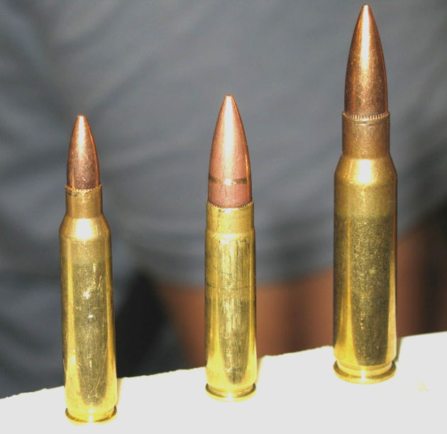 Poređenje kalibara .223 Remington, .300 Whisper i .308 Winchester